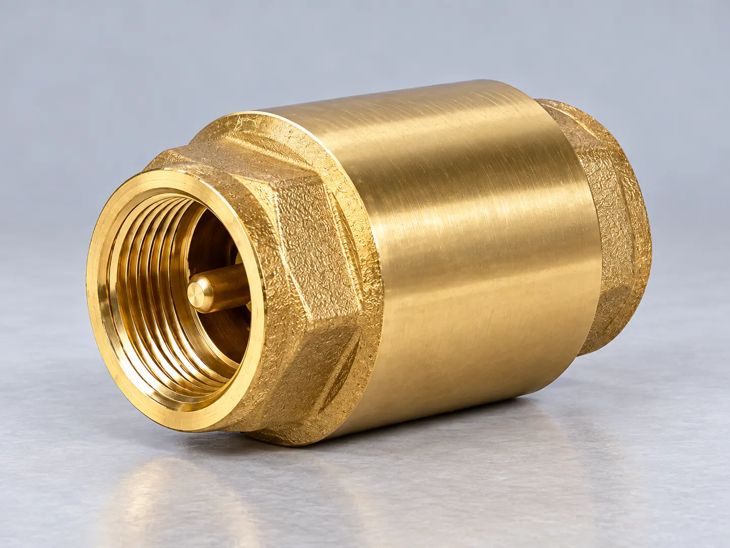 Check valve